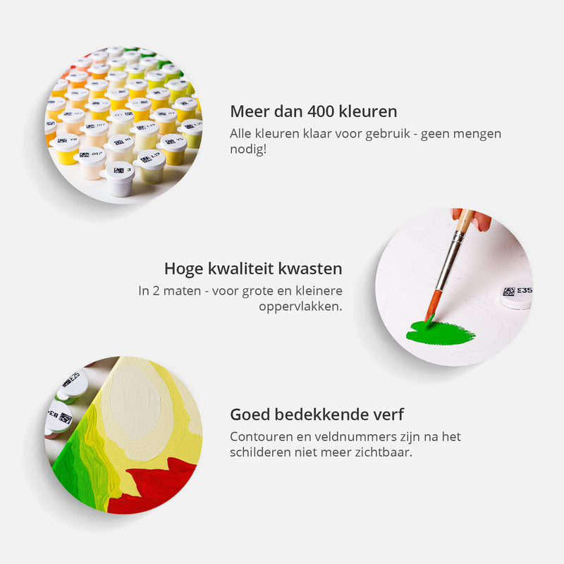 Doe-het-zelf op canvas schilderen - Laughing Marylin